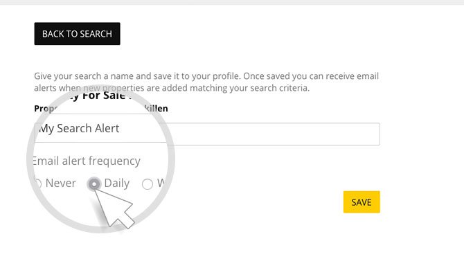 Saving your Search